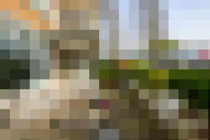 Buizerdlaan 213 Leidschendam thumbnail 32