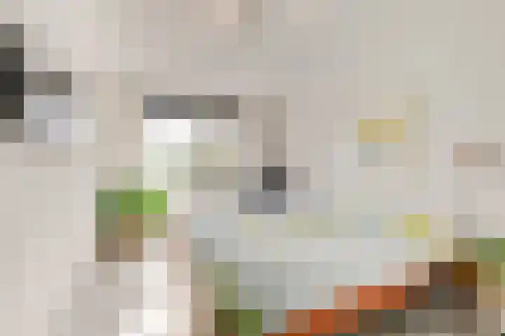 Buizerdlaan 213 Leidschendam thumbnail 33