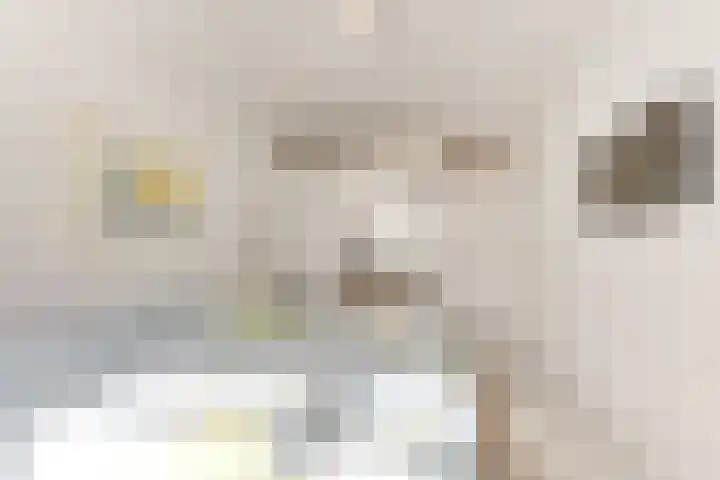 Buizerdlaan 213 Leidschendam thumbnail 34
