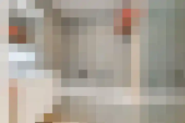 Buizerdlaan 213 Leidschendam thumbnail 35