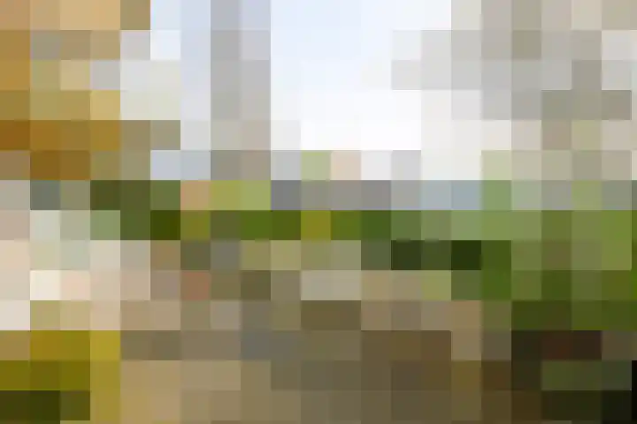 Buizerdlaan 213 Leidschendam thumbnail 4