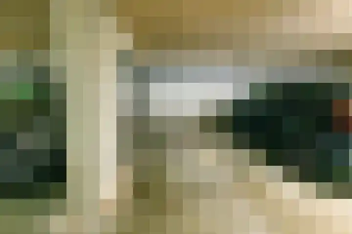 Buizerdlaan 213 Leidschendam thumbnail 40