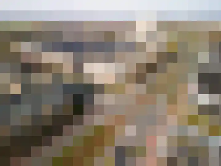 Buizerdlaan 213 Leidschendam thumbnail 45