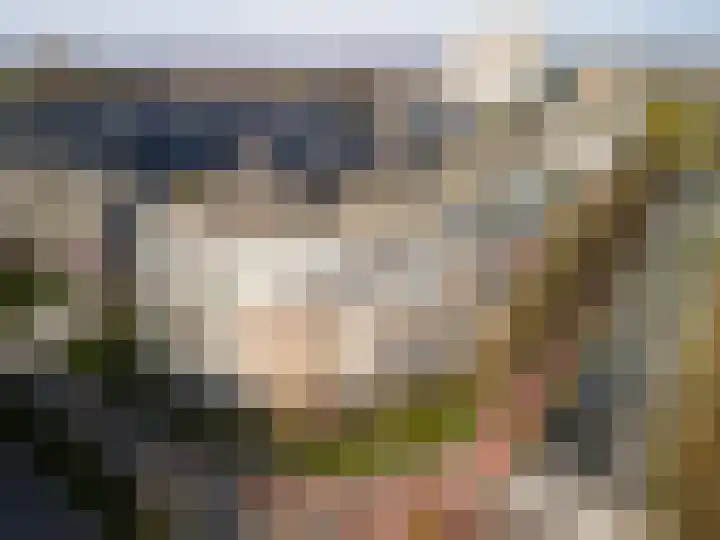 Buizerdlaan 213 Leidschendam thumbnail 46
