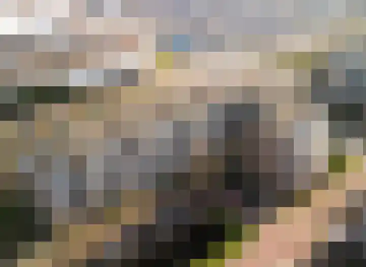 Buizerdlaan 213 Leidschendam thumbnail 47