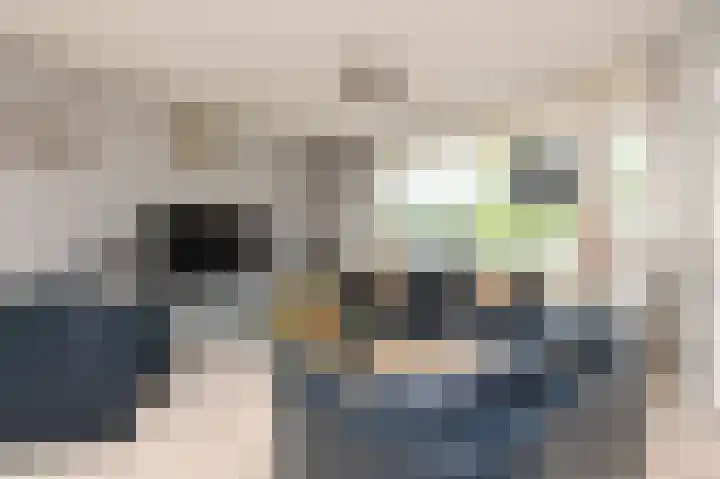 Buizerdlaan 227 Leidschendam thumbnail 19
