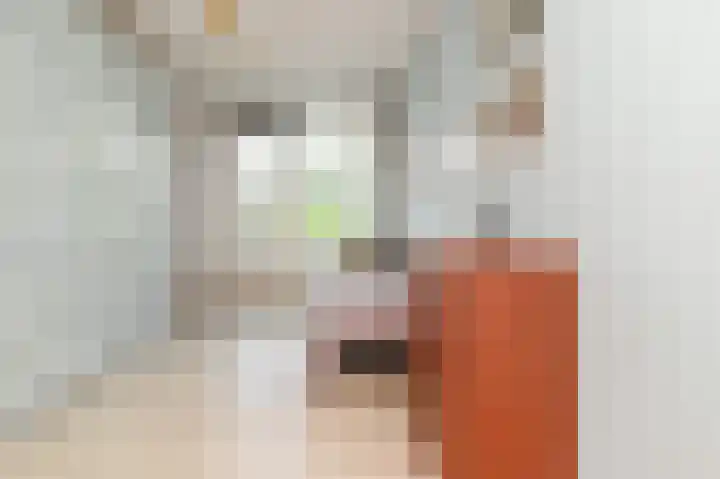 Buizerdlaan 227 Leidschendam thumbnail 28