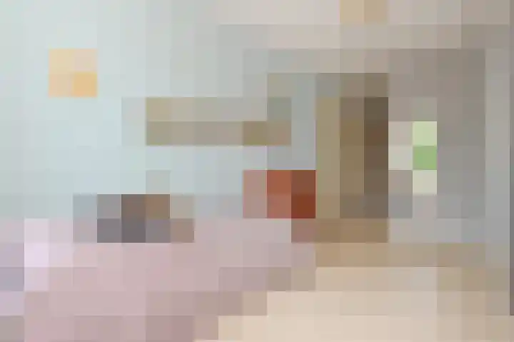 Buizerdlaan 227 Leidschendam thumbnail 29
