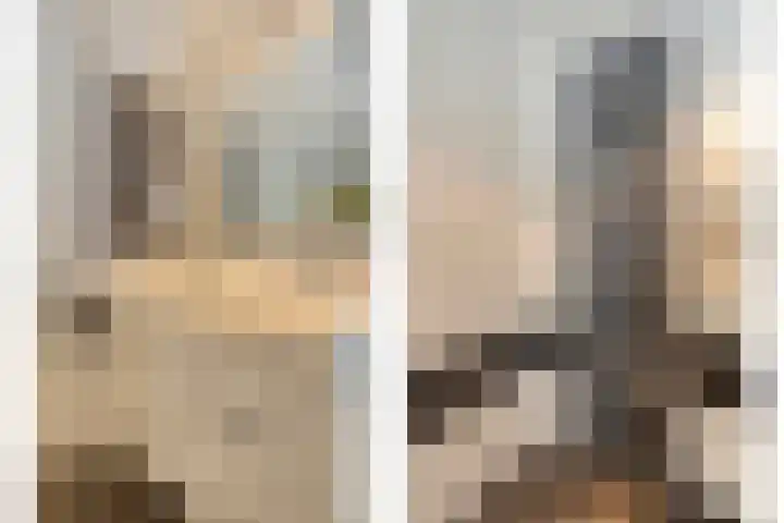 Buizerdlaan 227 Leidschendam thumbnail 31