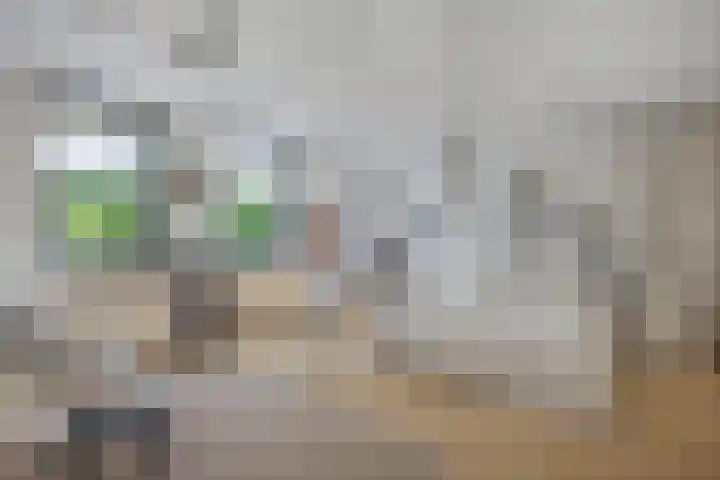 Buizerdlaan 227 Leidschendam thumbnail 9