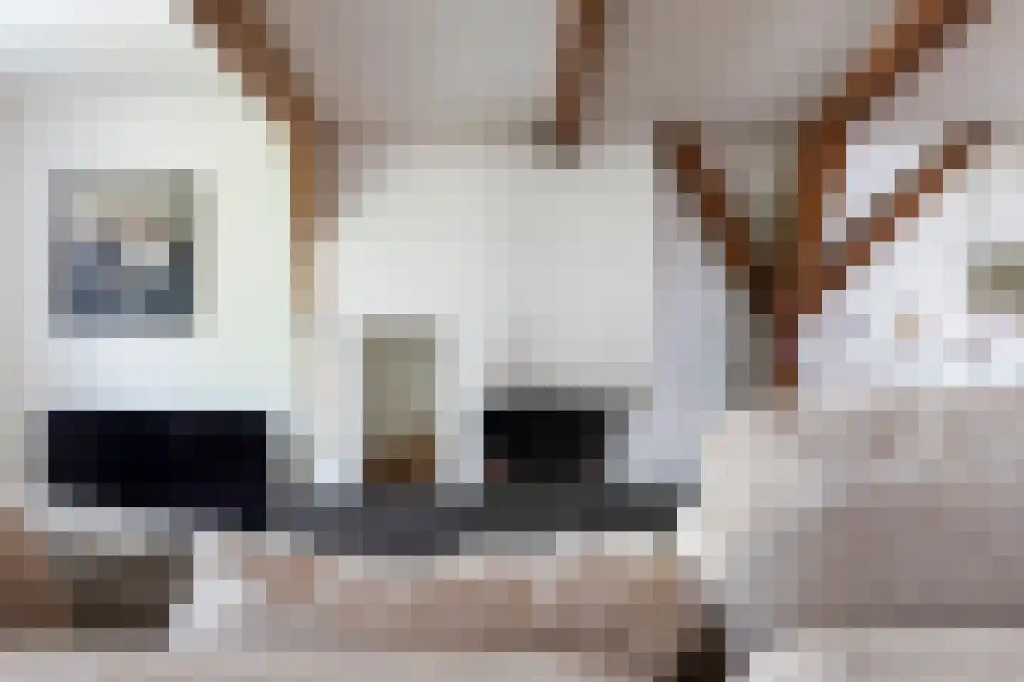 Buizerdlaan 50 Delft thumbnail 18