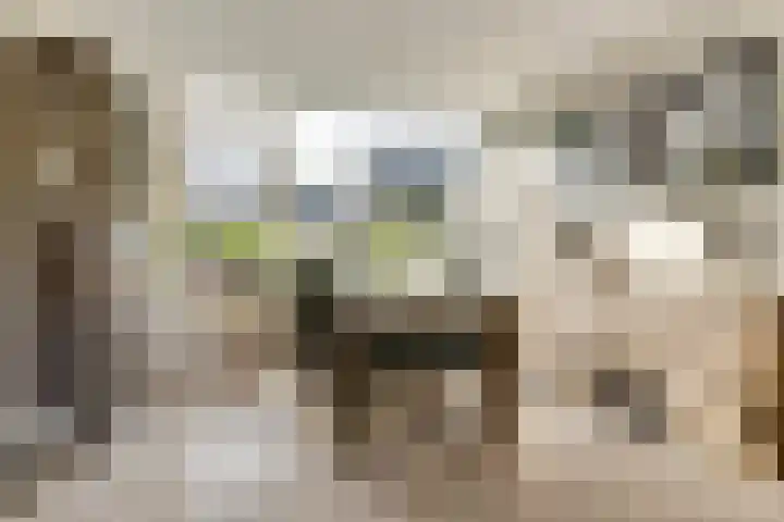 Buizerdlaan 6 Dieren thumbnail 11