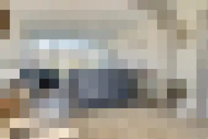 Buizerdlaan 6 Dieren thumbnail 12