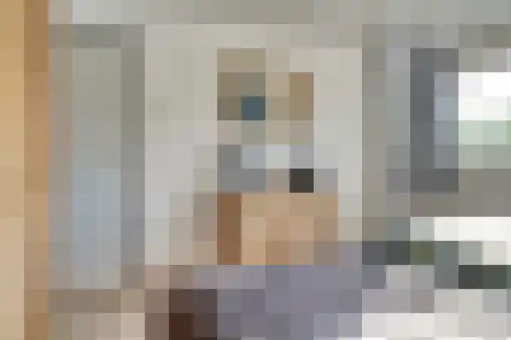 Buizerdlaan 6 Dieren thumbnail 18
