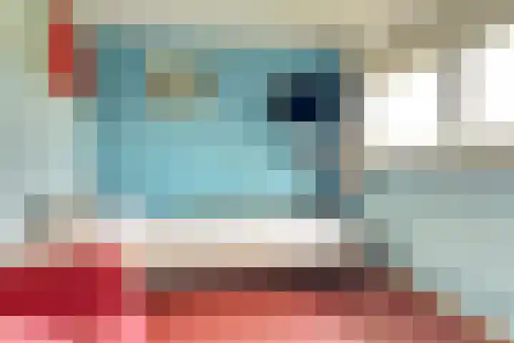 Buizerdlaan 6 Dieren thumbnail 19