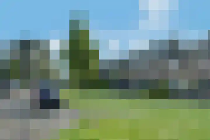 Buizerdlaan 6 Dieren foto 2