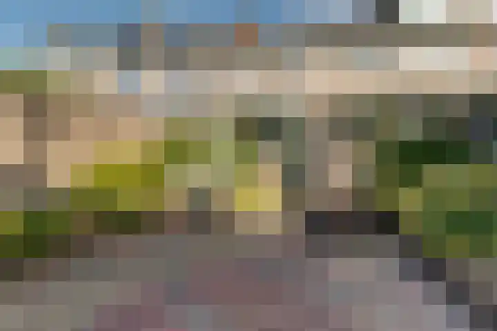 Buizerdlaan 6 Dieren thumbnail 25