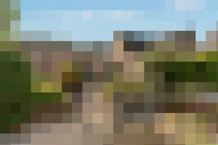Buizerdlaan 6 Dieren foto 3