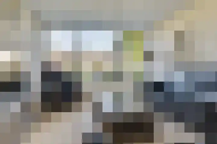 Buizerdlaan 6 Dieren thumbnail 6