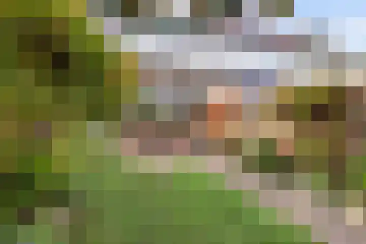 Buizerdlaan 66 Vianen thumbnail 36