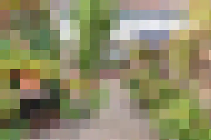 Buizerdlaan 66 Vianen thumbnail 4