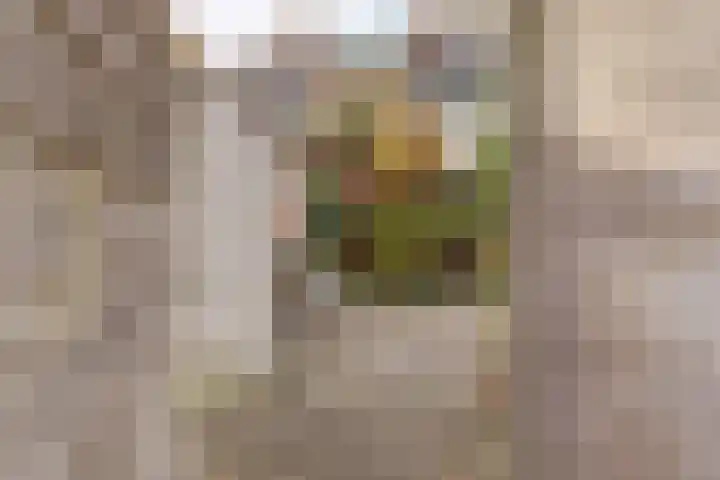 Buizerdlaan 66 Vianen thumbnail 43