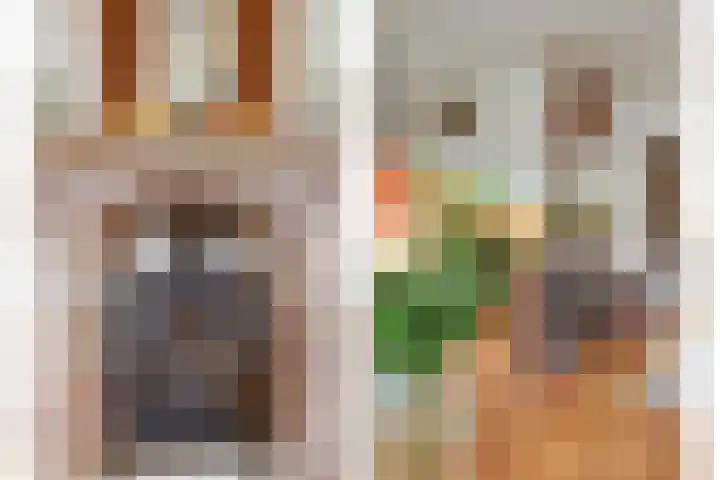 Buizerdlaan 66 Vianen thumbnail 7