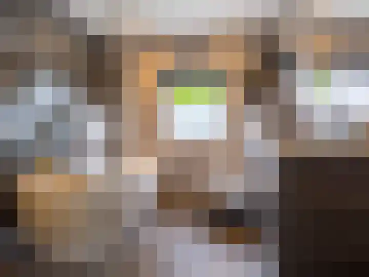 Buizerdstraat 1 Brummen thumbnail 16