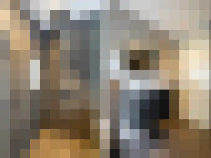 Buizerdstraat 1 Brummen thumbnail 17