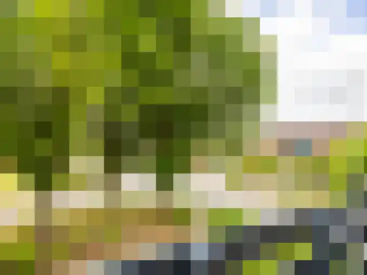 Buizerdstraat 1 Brummen thumbnail 21