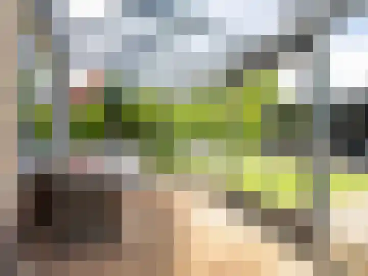 Buizerdstraat 1 Brummen thumbnail 27