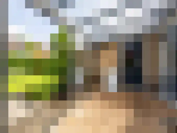 Buizerdstraat 1 Brummen thumbnail 28