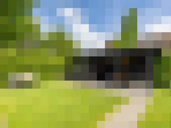 Buizerdstraat 1 Brummen thumbnail 29