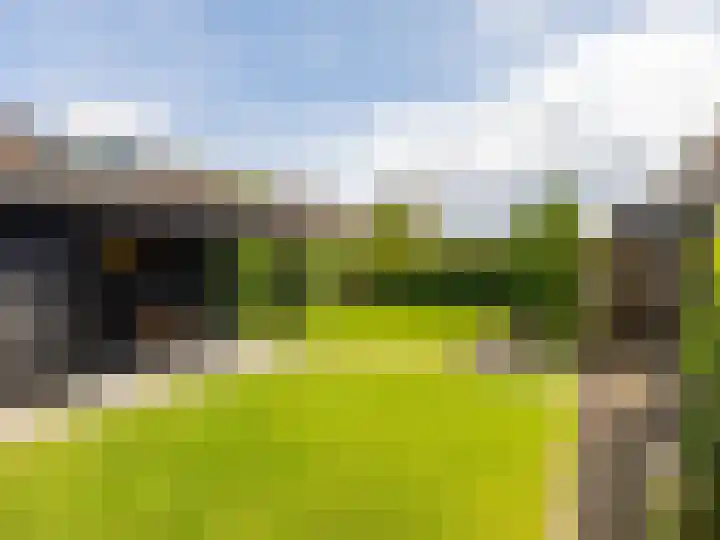 Buizerdstraat 1 Brummen thumbnail 30
