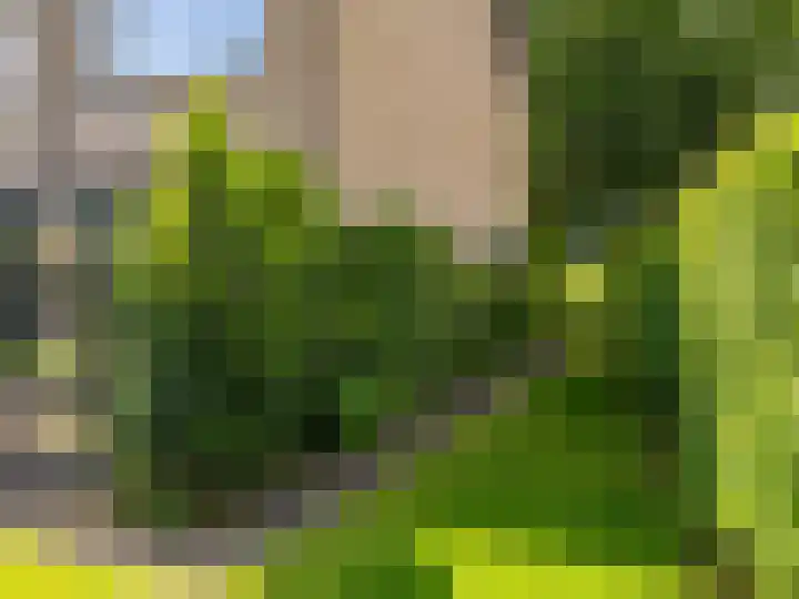 Buizerdstraat 1 Brummen thumbnail 31