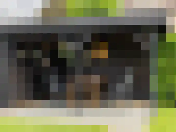 Buizerdstraat 1 Brummen thumbnail 32