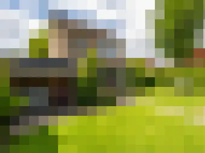 Buizerdstraat 1 Brummen thumbnail 33