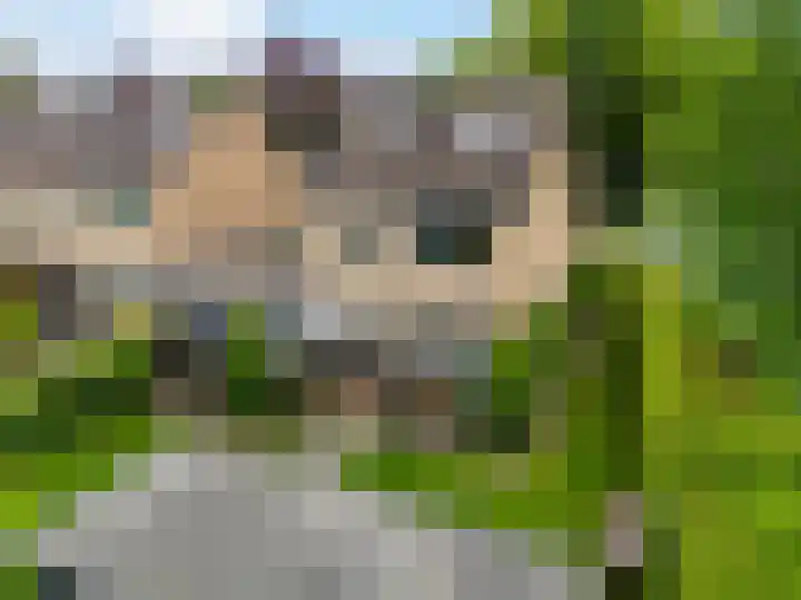 Buizerdstraat 1 Brummen thumbnail 34
