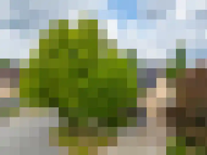 Buizerdstraat 1 Brummen thumbnail 35