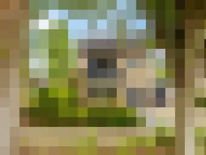 Buizerdstraat 1 Brummen thumbnail 37