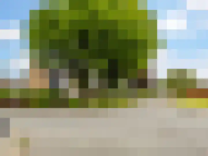 Buizerdstraat 1 Brummen thumbnail 40