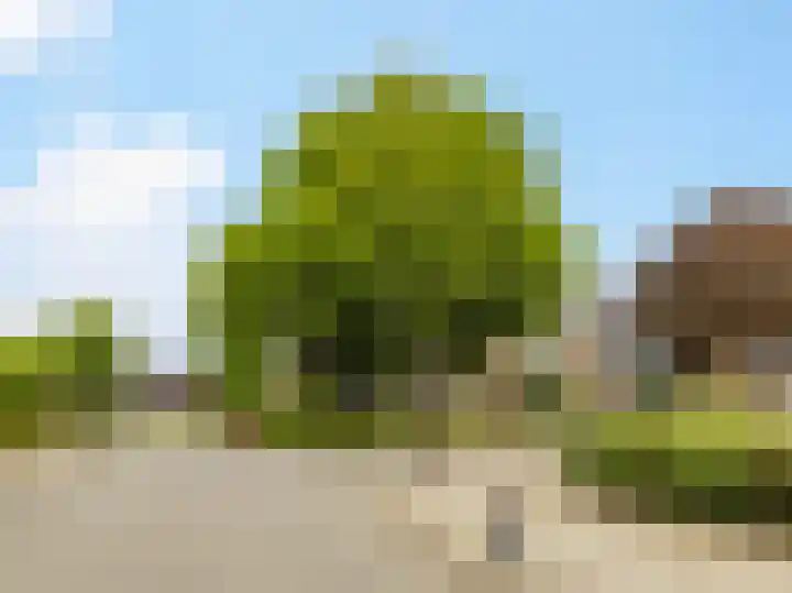 Buizerdstraat 1 Brummen thumbnail 41