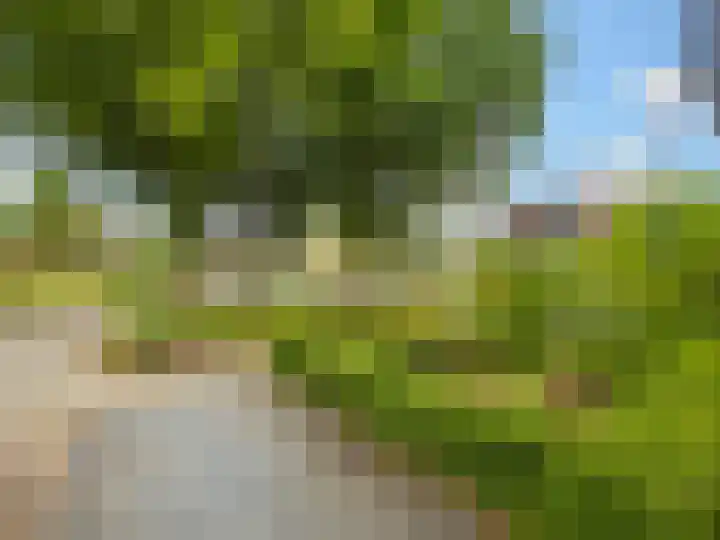 Buizerdstraat 1 Brummen thumbnail 42