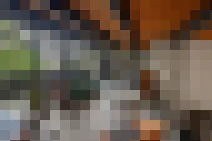 Buizerdstraat 14 Leerdam thumbnail 20