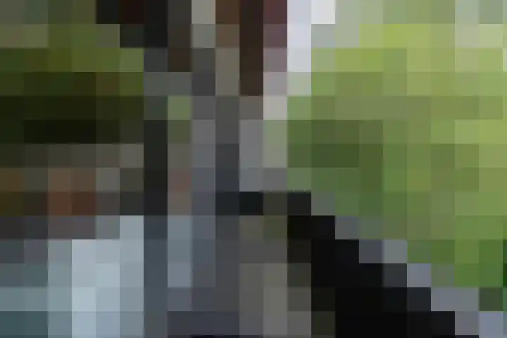 Buizerdstraat 14 Leerdam thumbnail 27