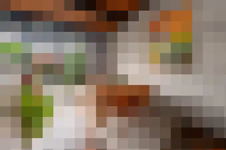 Buizerdstraat 14 Leerdam thumbnail 30