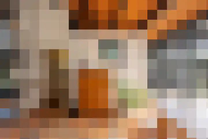 Buizerdstraat 14 Leerdam thumbnail 32