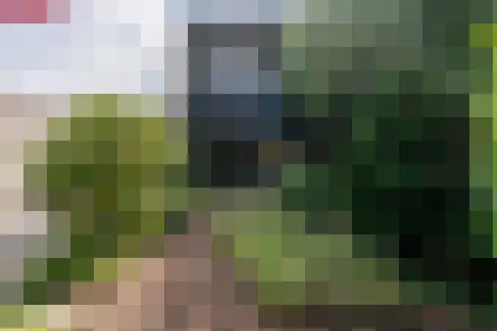 Buizerdstraat 14 Leerdam thumbnail 4