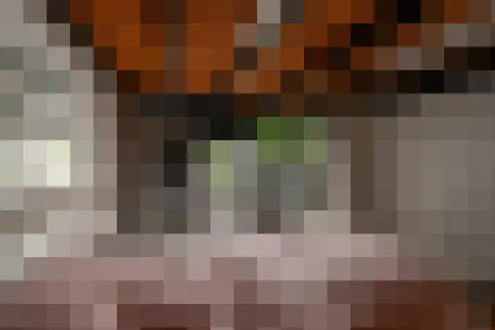 Buizerdstraat 14 Leerdam thumbnail 57