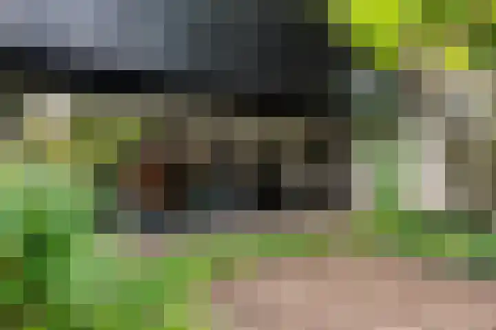 Buizerdstraat 14 Leerdam thumbnail 6